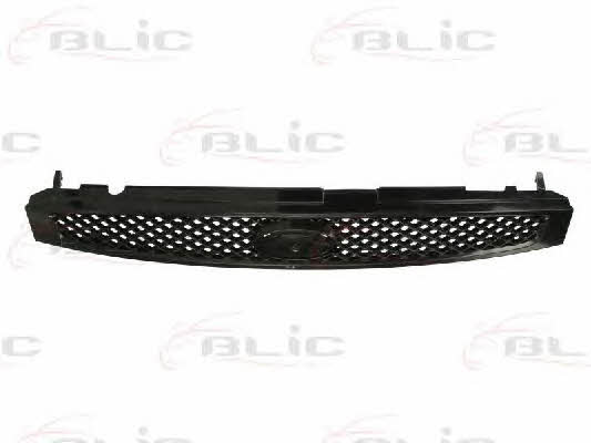 Grille radiator Blic 6502-07-2564990P