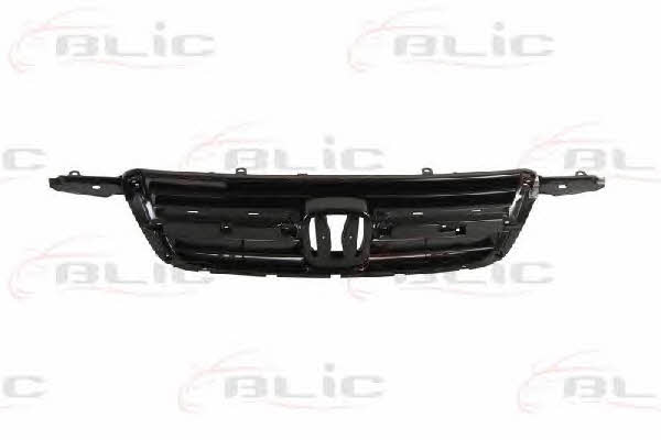 Grille radiator Blic 6502-07-2956990P
