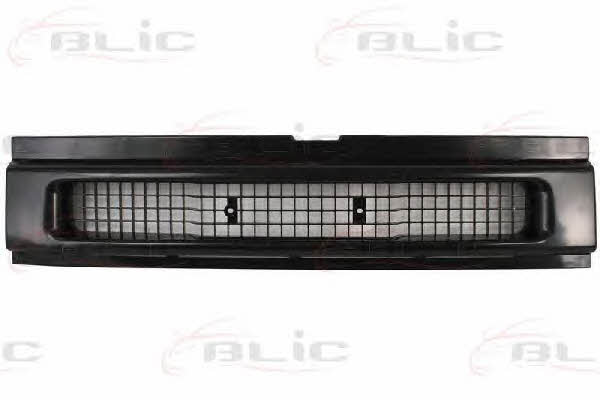 Grille radiator Blic 6502-07-3080991P