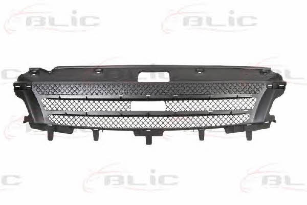 Grille radiator Blic 6502-07-3081990P
