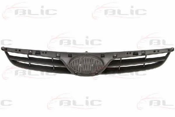 Grille radiator Blic 6502-07-3128990P