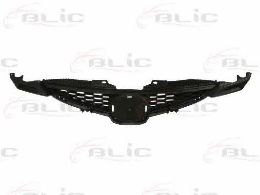 Grille radiator Blic 6502-07-3421990P