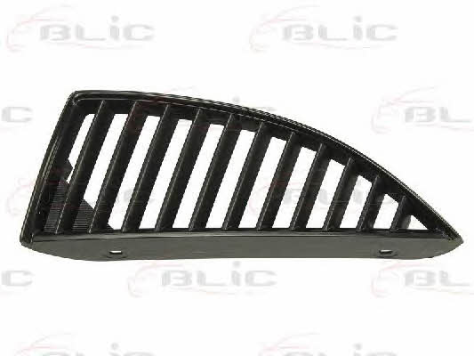 Grille radiator Blic 6502-07-3719992P