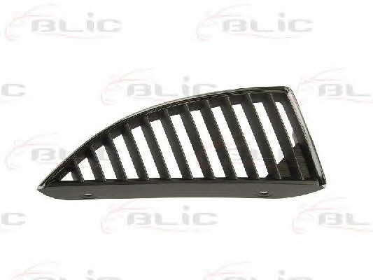 Grille radiator Blic 6502-07-3719993P
