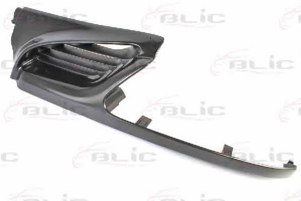 Grille radiator Blic 6502-07-6037991P