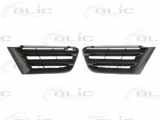 Front bumper grill Blic 6502-07-6042990P