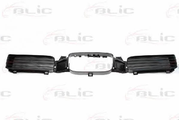 Grille radiator Blic 6502-07-6616993P