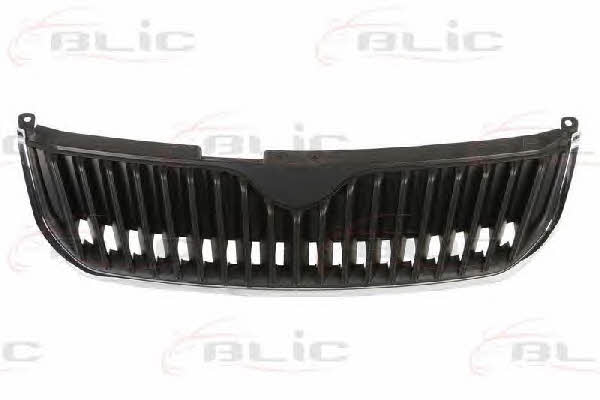 Grille radiator Blic 6502-07-7526990P