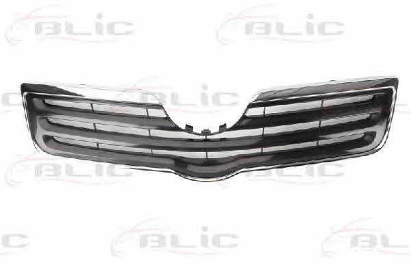 Grille radiator Blic 6502-07-8161991P