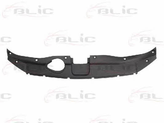 Front panel Blic 6502-08-3181270P