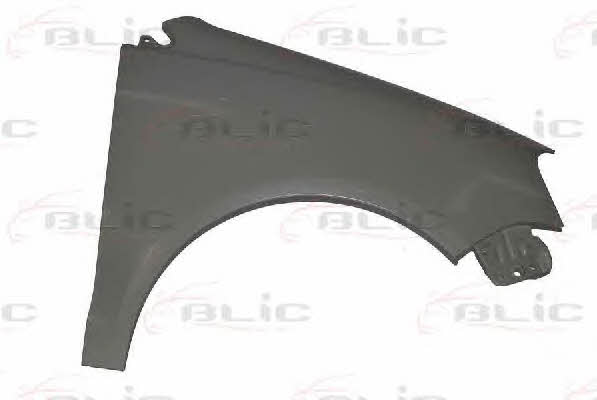 Blic 6504-04-9506314P Front fender right 6504049506314P 6504049506314P Blic Front fender right