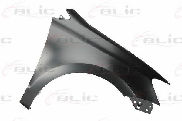 6504049507312P Blic Front fender right