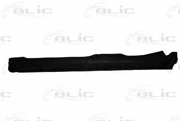 Scuff plates Nissan Micra: 6505061608011P Blic Sill cover