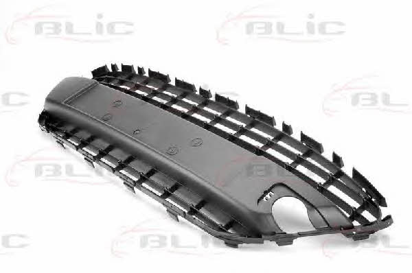 Bumper mesh Ford Fiesta: 6509012565995P Blic Front bumper grill