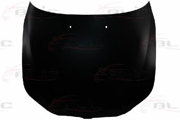 Hood Blic 6803-00-0066281P