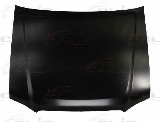 6803001676280P Blic Hood