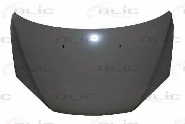 Bonnet Ford: 6803002533280P Blic Hood