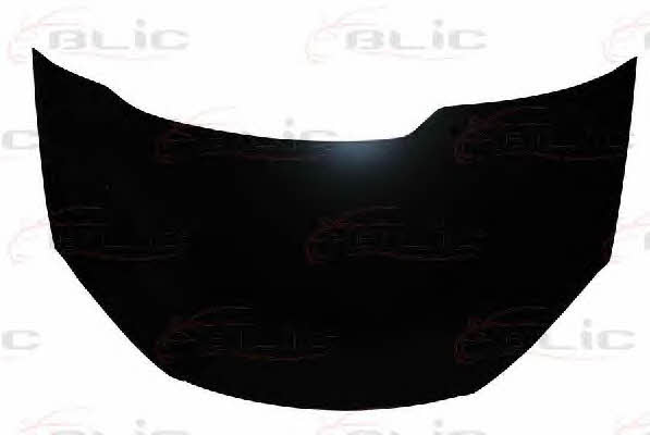 Hood Blic 6803-00-2534281P