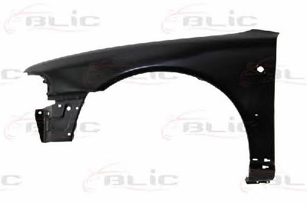 6504040018317P Blic Front fender left