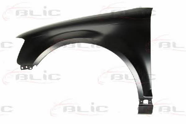 6504040026313P Blic Front fender left