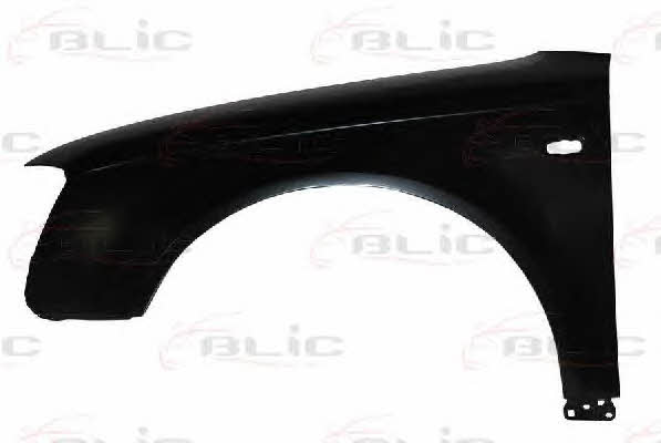 Front wing panel Audi: 6504040028311P Blic Front fender