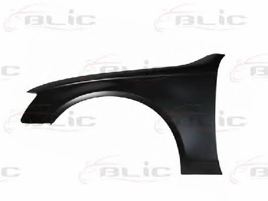 Front fender left Blic 6504-04-0029311P