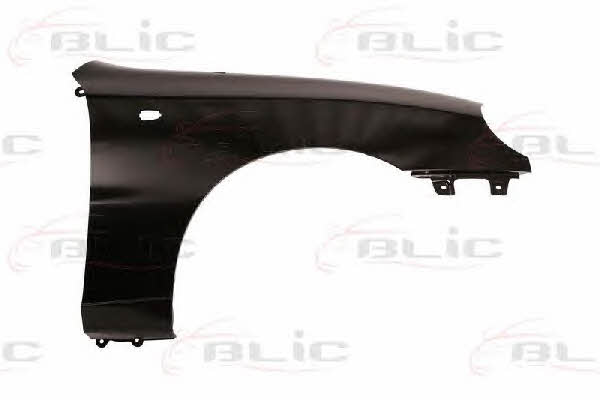 Front wing fender Daewoo: 6504041106312P Blic Front fender right