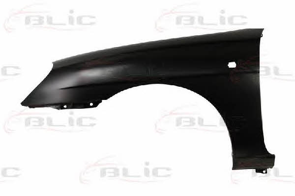 Front fender Daewoo: 6504041111313P Blic Front fender left