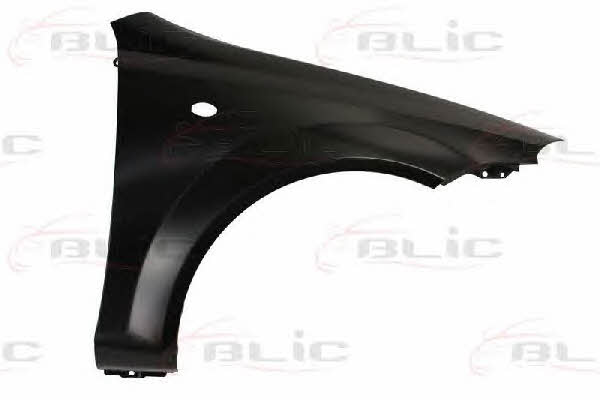 Front wing panel Daewoo: 6504041132314P Blic Front fender right
