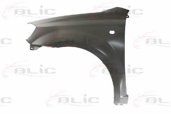 Front fender Chevrolet Aveo: 6504041135311P Blic Front fender left