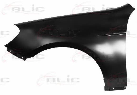 Front wing panel Chevrolet: 6504041141311P Blic Front fender left