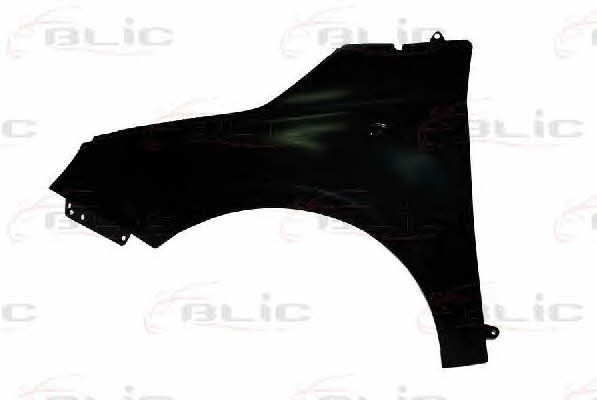 Front fender left Blic 6504-04-2013311P