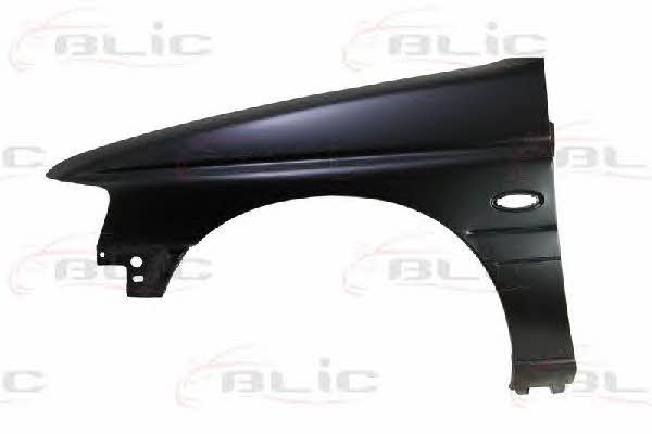 Front fender left Blic 6504-04-2530313P