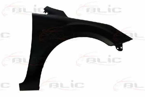 6504042533314P Blic Front fender right