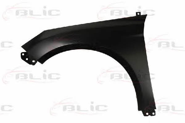 Front fender left Blic 6504-04-2536311P