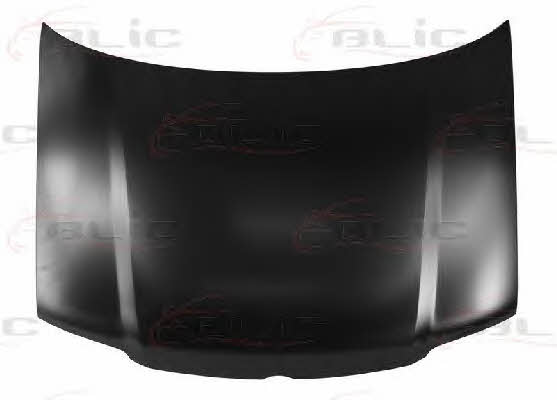 Hood Blic 6803-00-9504281P