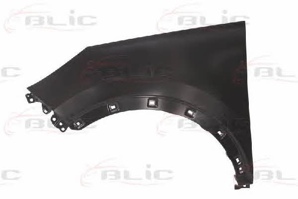6504043292311P Blic Front fender left