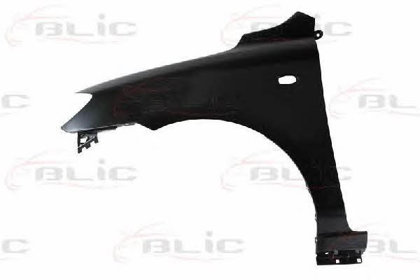 Front fender left Blic 6504-04-3419311P