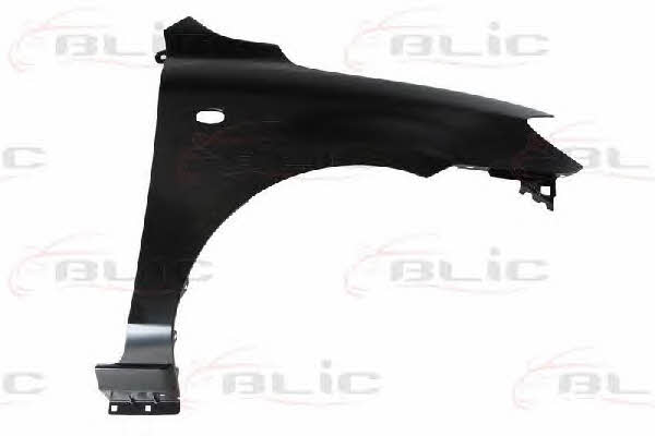 Front fender right Blic 6504-04-3419312P