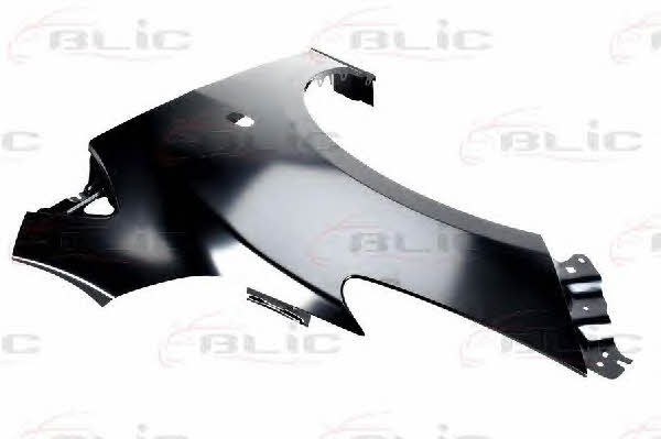 Front fender left Blic 6504-04-3421311P