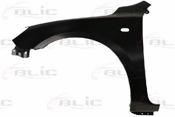 6504043476313P Blic Front fender left