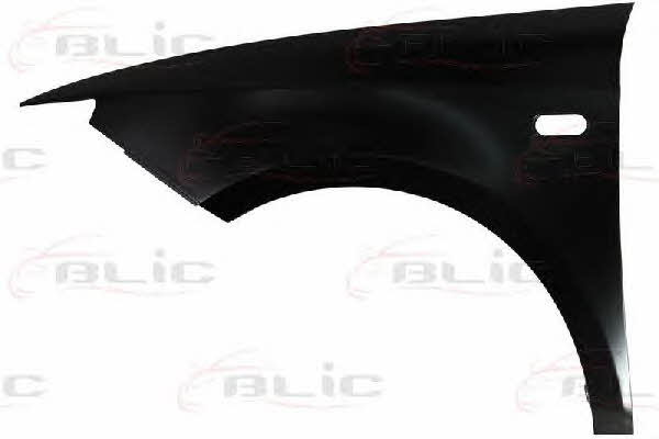 Front fender left Blic 6504-04-6621311P