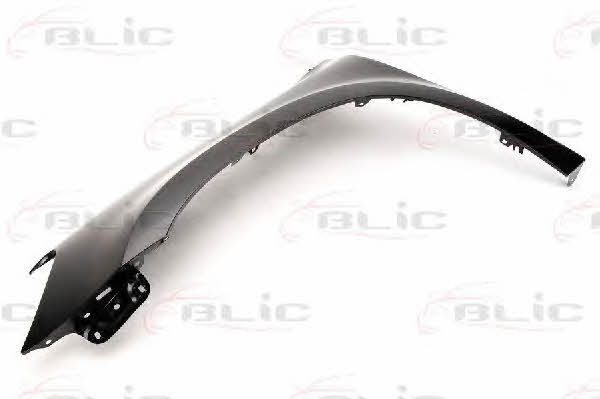 Front fender left Blic 6504-04-7535311P