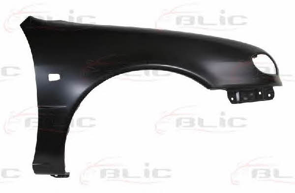 Front fender right Blic 6504-04-8114314P
