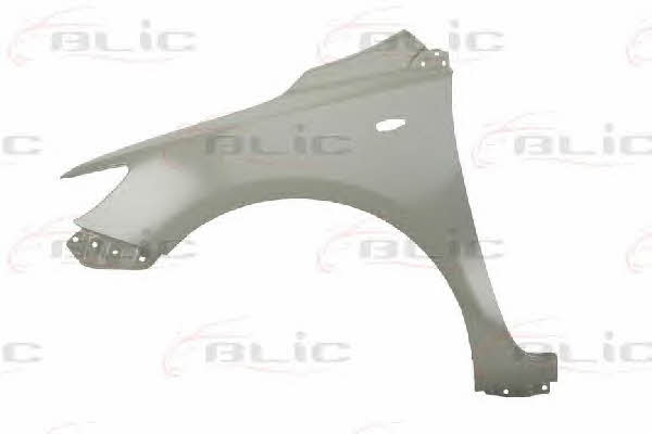 Front fender left Blic 6504-04-8116313P