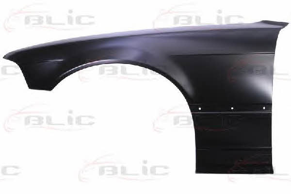 Front fender left Blic 6504-04-0060315P
