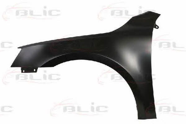 6504047522311P Blic Front fender left