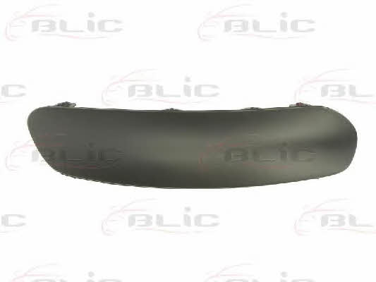 Bumper moulding Citroen C3: 6502070519926P Blic Trim bumper
