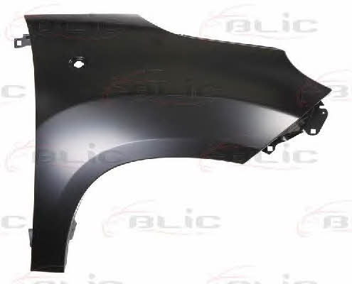 Front fender Fiat 500: 6504042028312P Blic Front fender right