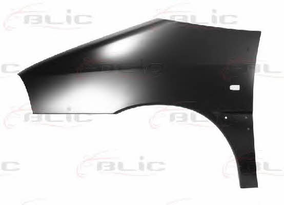 Front fender left Blic 6504-04-2036311P